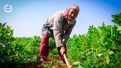 Indicators of Early Economic Recovery in NW Syria in 2023